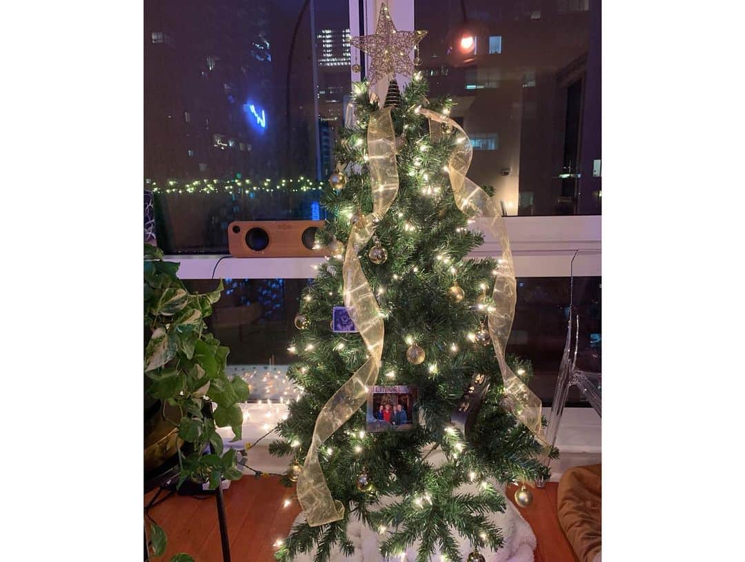 ベラミー・ヤングさんのインスタグラム写真 - (ベラミー・ヤングInstagram)「We made an attempt at feeling festive since 'tis the season...🎄  Hope whatever you got up to today made you happy too! Sending you & yours so much love. Whatever you celebrate. Happy night from our house to yours! ❤️💗❤️💗❤️」11月29日 9時47分 - bellamyyoung