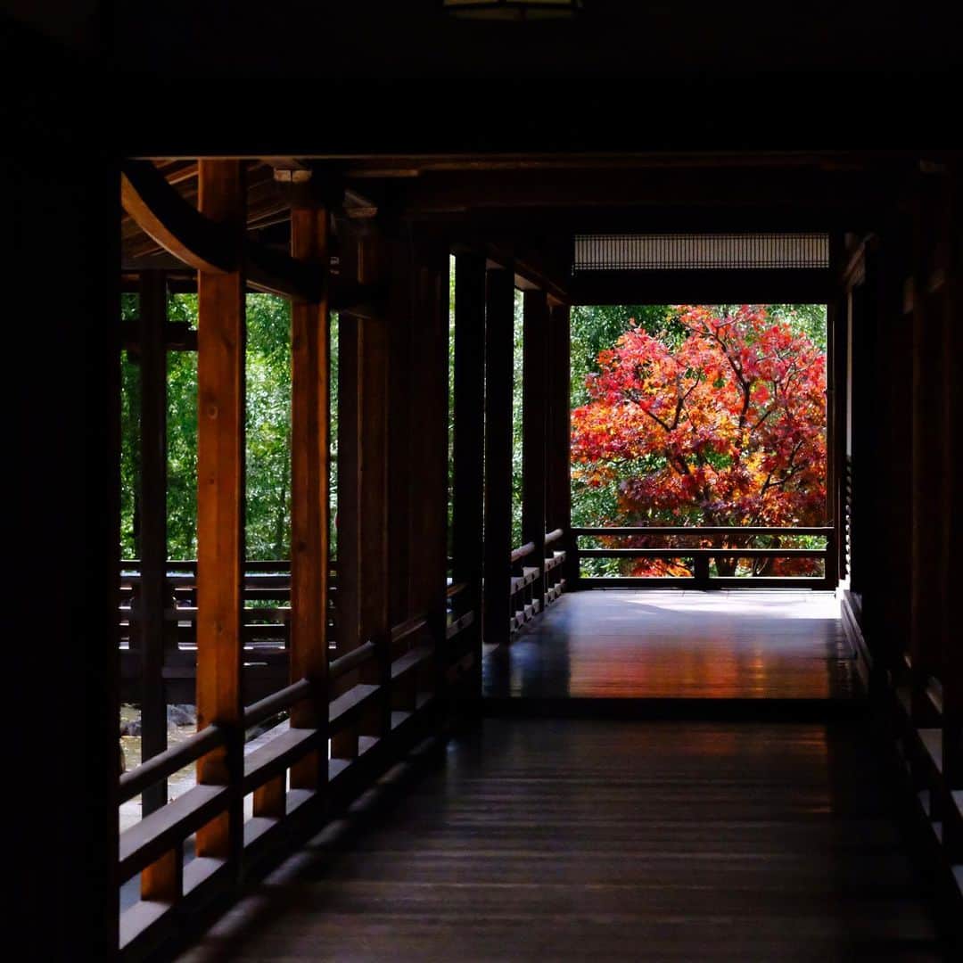 奈良 長谷寺 / nara hasederaのグルメインスタ