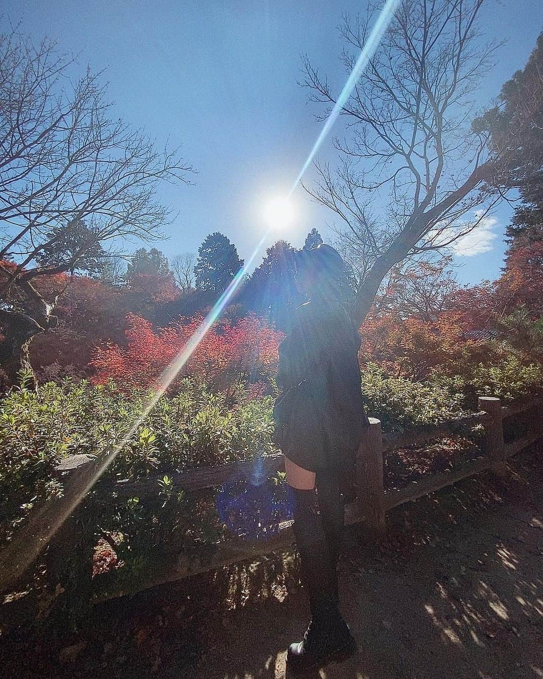 のインスタグラム：「紅葉写真、ラスト投稿🍁﻿ ﻿ ﻿ もう紅葉も終わりかけですかね？？﻿ 11月も明日でおわり。﻿ あっという間ですね……🥶﻿ ﻿ ﻿ ﻿ ﻿ ⋆٭⋆⚾︎- - - - - - - - - - - - - - - - -⚾︎⋆٭⋆﻿ ﻿ ﻿ ﻿ 12月5日(土)に開催される﻿ 【Bs Fan-Festa Online2020 ﻿ Supported by CRTM】﻿ ﻿ ﻿ イベント内容が続々と﻿ 発表されています✨﻿ ﻿ ﻿ 今年は、﻿ 球団公式YouTubeチャンネル「BsTV」で﻿ 配信されます😊﻿ ﻿ ﻿ ﻿ 私たちBsGirlsはInstagramで﻿ 生配信させて頂きます💎﻿ ﻿ ﻿ ﻿ ↓﻿ ﻿ ﻿ ﻿ ﻿ ﻿ ☆13:30〜(約60分間)﻿ 「BsGirlsメンバー対決企画！」﻿ ﻿ BsGirls四番勝負！﻿ 負けたチームには罰ゲームもあります…👻﻿ ﻿ ﻿ ﻿ ﻿ ﻿ ☆15:00〜(約40分間)﻿ 「バファローブル＆ベル＆﻿ BsGirlsスペシャルライブ＠Instagram」﻿ ﻿ ﻿ BsGirlsのパフォーマンス、﻿ そしてバファローブルくん・ベルちゃんとも﻿ コラボパフォーマンスをお届け致します🍙🍓♥️﻿ ﻿ ﻿ ﻿ ﻿ ﻿ パフォーマンスはもちろん、﻿ ゲーム企画もご用意しているので﻿ ぜひ見て頂きたいです♡﻿ ﻿ ﻿ ﻿ ﻿ スケジュールに﻿ 「Bs Fan-Festa Online2020 ﻿ Supported by CRTM」と記入しちゃいましょう😊﻿ ﻿ ﻿ ﻿ オンラインならではの﻿ 配信をぜひお楽しみください♡﻿ ﻿ ﻿ ﻿ ﻿ ﻿ ﻿ #オリックス #Bs2020 #BsGirls #オリ姫﻿ #野球 #プロ野球 #オリックスバファローズ #超革新系﻿ #野球女子　#野球好き　#京セラドーム大阪　﻿ #紅葉 #京都 #京都紅葉 #京都観光﻿ #秋コーデ #レザー #レザーコーデ﻿ #秋メイク #ショートヘア ﻿ #baseball #ORIX #Buffaloes #BINNOVATION﻿ #MIYU #miyu_337  #🐼 ﻿」