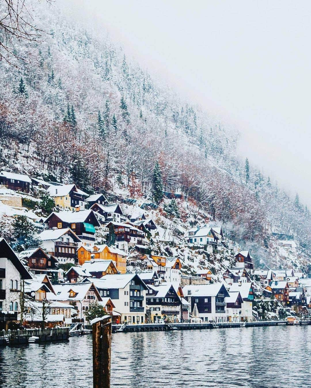 Architecture - Housesさんのインスタグラム写真 - (Architecture - HousesInstagram)「⁣⁣ #Winter architecture lovers, this is for you! ⁣⁣ > 4 lovely pictures of the city of Hallstatt where snow is the protagonist ❄️❄️. How amazing are these buildings all cover in #white? 🌨️ They're almost too good to be true 😜. Which one do you choose? 1, 2, 3 or 4? I read you! 👇⁣⁣ _____⁣⁣⁣⁣⁣⁣⁣⁣⁣ 📸  @lumadeline & @hebenj 📍 Hallstatt, Austria 🇦🇹⁣⁣ #archidesignhome⁣⁣⁣⁣⁣ _____⁣⁣⁣⁣⁣⁣⁣⁣⁣ #hallstatt #austria #architecture #archilovers #architect #beautifuldestinations #wonderful_places #winterarchitecture #winterlanscapes #winterlovers」11月29日 1時50分 - _archidesignhome_