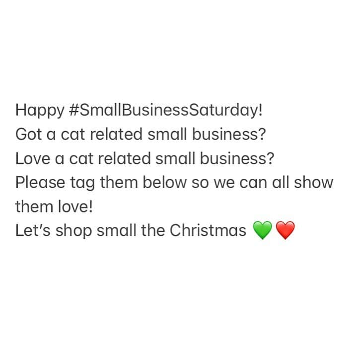 The Cats Of Instagramのインスタグラム：「Happy #SmallBusinessSaturday!  Got a cat related small business?  Love a cat related small business?  Please tag them below so we can all show them love!  Let’s shop small the Christmas 💚❤️」