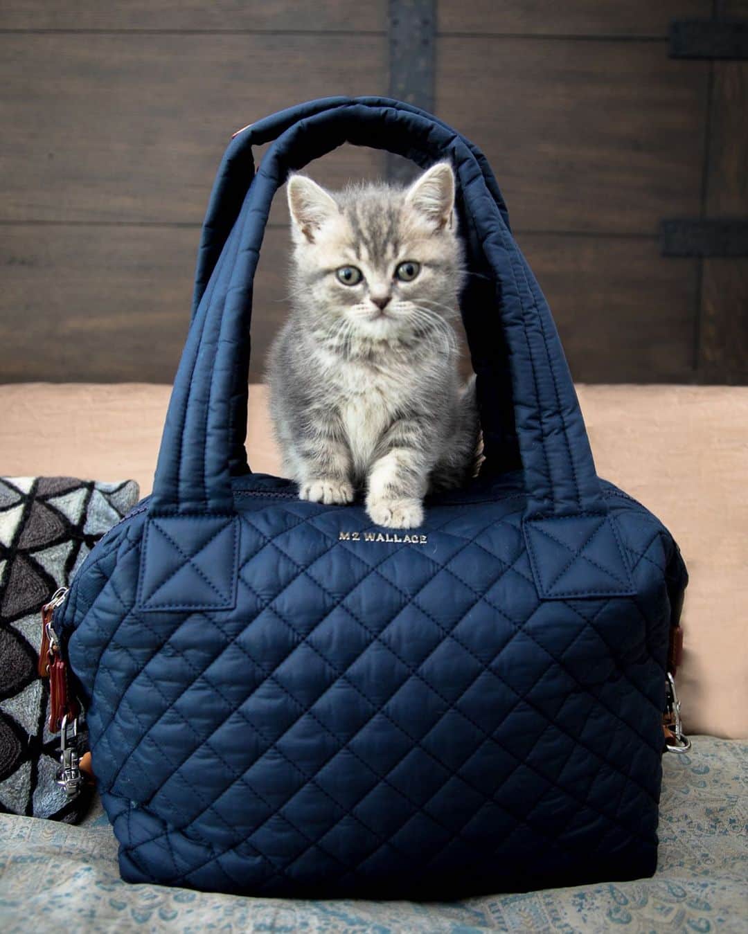 MZウォレスのインスタグラム：「Just when you thought you couldn't love our Sutton any more ... we added a kitten and put them on SALE! Head to the link in our bio to shop, but do it quick! The Sutton sale is this weekend only.」