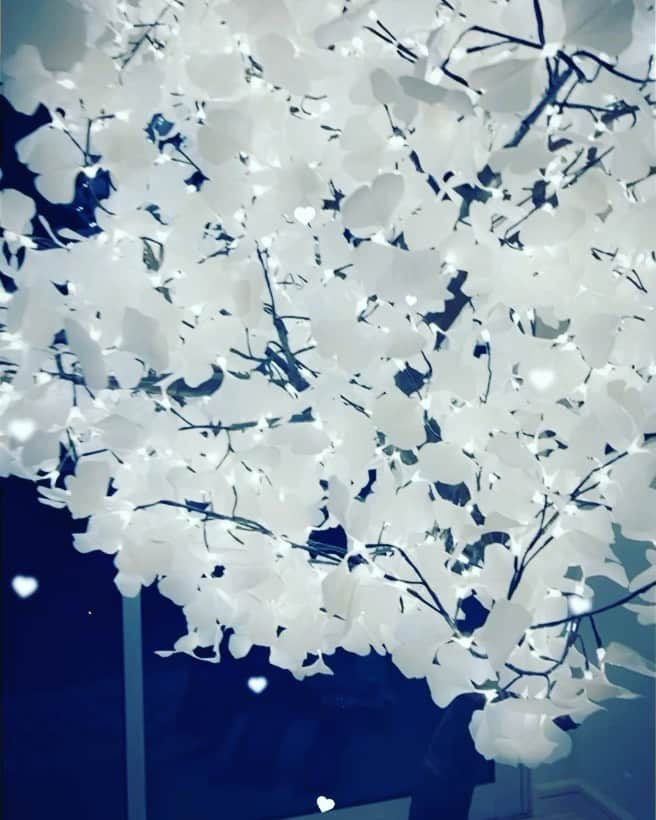 アンバー・ローズのインスタグラム：「Beautiful Gingko Tree only @italy2000furniture Designer @mydesignerpaniz 🌸」
