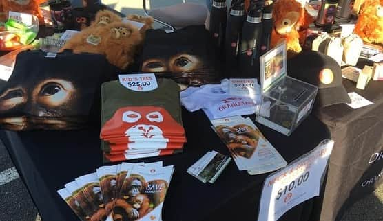 OFI Australiaさんのインスタグラム写真 - (OFI AustraliaInstagram)「If you’re on the the Gold Coast this morning come and visit us at the Gold Coast Turf Club Farmers Market, Bundall. Open until 11.30am. Fantastic orangutan merchandise makes the best Christmas presents! Or foster an orphan orangutan. Please come and say hello. We’d love to see you 🧡🦧🧡🦧」11月29日 5時15分 - ofi_australia