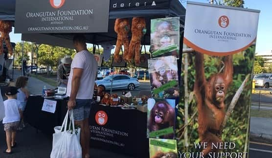 OFI Australiaさんのインスタグラム写真 - (OFI AustraliaInstagram)「If you’re on the the Gold Coast this morning come and visit us at the Gold Coast Turf Club Farmers Market, Bundall. Open until 11.30am. Fantastic orangutan merchandise makes the best Christmas presents! Or foster an orphan orangutan. Please come and say hello. We’d love to see you 🧡🦧🧡🦧」11月29日 5時15分 - ofi_australia