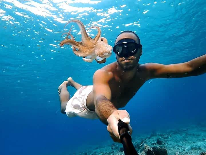 goproのインスタグラム