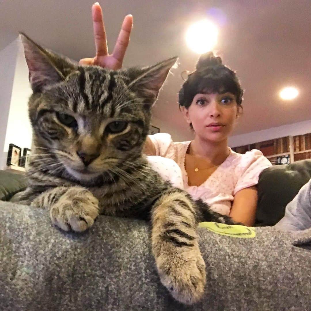 ハンナ・シモンのインスタグラム：「Thankful for this sweet funny rescue bud Alfie who never questions my weirdness. Mainly because he is a cat and doesn’t speak English but poTAYtoe/ poMEOWtoe.  (I know I know major cringe this is why I hang out with cats kthxbye) @havecatzwilltravel 🥔 🐰」