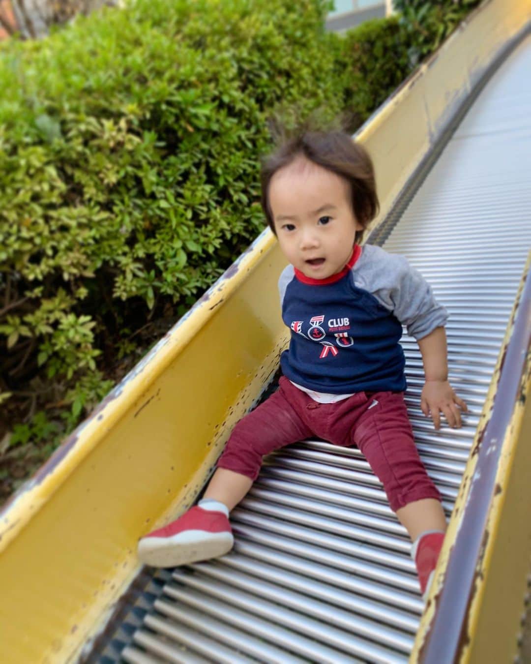 桜井未来さんのインスタグラム写真 - (桜井未来Instagram)「3枚目動画あり🤗🍃 滑り台も1人で滑れるようになりました（笑） 公園大好きちゃん❤  滑り降りたあとの階段は、ママ👩がうちの姫を抱えて登りますw 早く上がれwとばかりに滑り台の上を指差し何度もループでw良い運動になりました😂🤪（笑） ・ ・ ・  #男の子ママ #女の子ママ #ママ #baby #ママ友募集 #赤ちゃんのいる生活 #ベビスタグラム #mamagirl #ベビフル #コドモダカラ #コドモノ #ママリ #親バカ部 #新米ママ東京部 #ベビモ #엄마　#妈妈 #媽媽 #Mom #公園 #公園遊び」11月29日 7時14分 - miki.sakurai0214