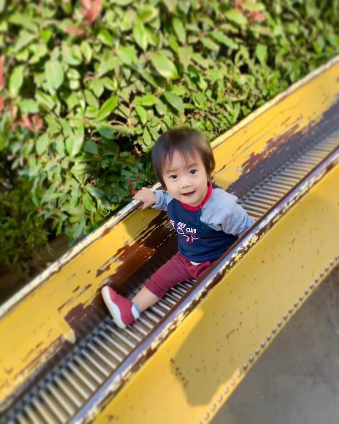 桜井未来さんのインスタグラム写真 - (桜井未来Instagram)「3枚目動画あり🤗🍃 滑り台も1人で滑れるようになりました（笑） 公園大好きちゃん❤  滑り降りたあとの階段は、ママ👩がうちの姫を抱えて登りますw 早く上がれwとばかりに滑り台の上を指差し何度もループでw良い運動になりました😂🤪（笑） ・ ・ ・  #男の子ママ #女の子ママ #ママ #baby #ママ友募集 #赤ちゃんのいる生活 #ベビスタグラム #mamagirl #ベビフル #コドモダカラ #コドモノ #ママリ #親バカ部 #新米ママ東京部 #ベビモ #엄마　#妈妈 #媽媽 #Mom #公園 #公園遊び」11月29日 7時14分 - miki.sakurai0214