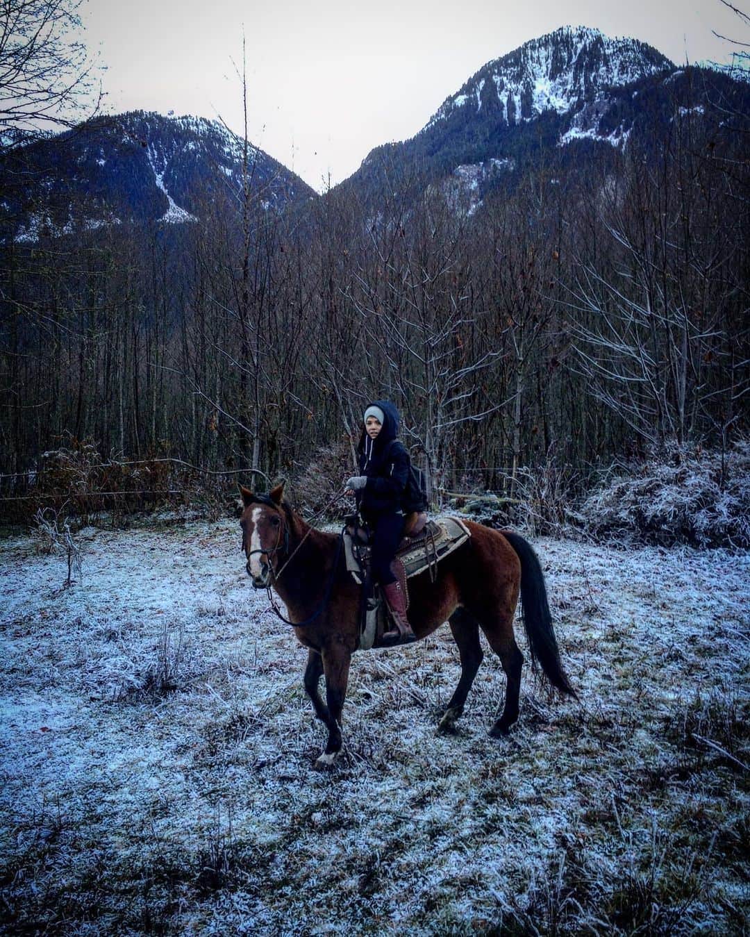 マリー・アヴゲロプロスのインスタグラム：「4 legs gets me every time . #horsesofinstagram」
