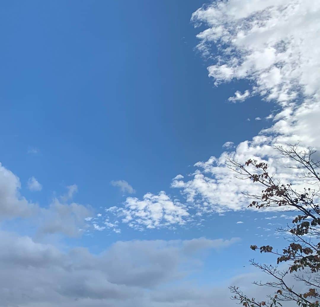 上島楓のインスタグラム：「. 冬の空という感じ⛄️☁️」
