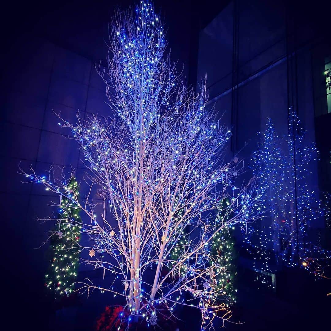 のインスタグラム：「街を歩くと綺麗がいっぱい！ #イルミネーション #tokyo #japan」