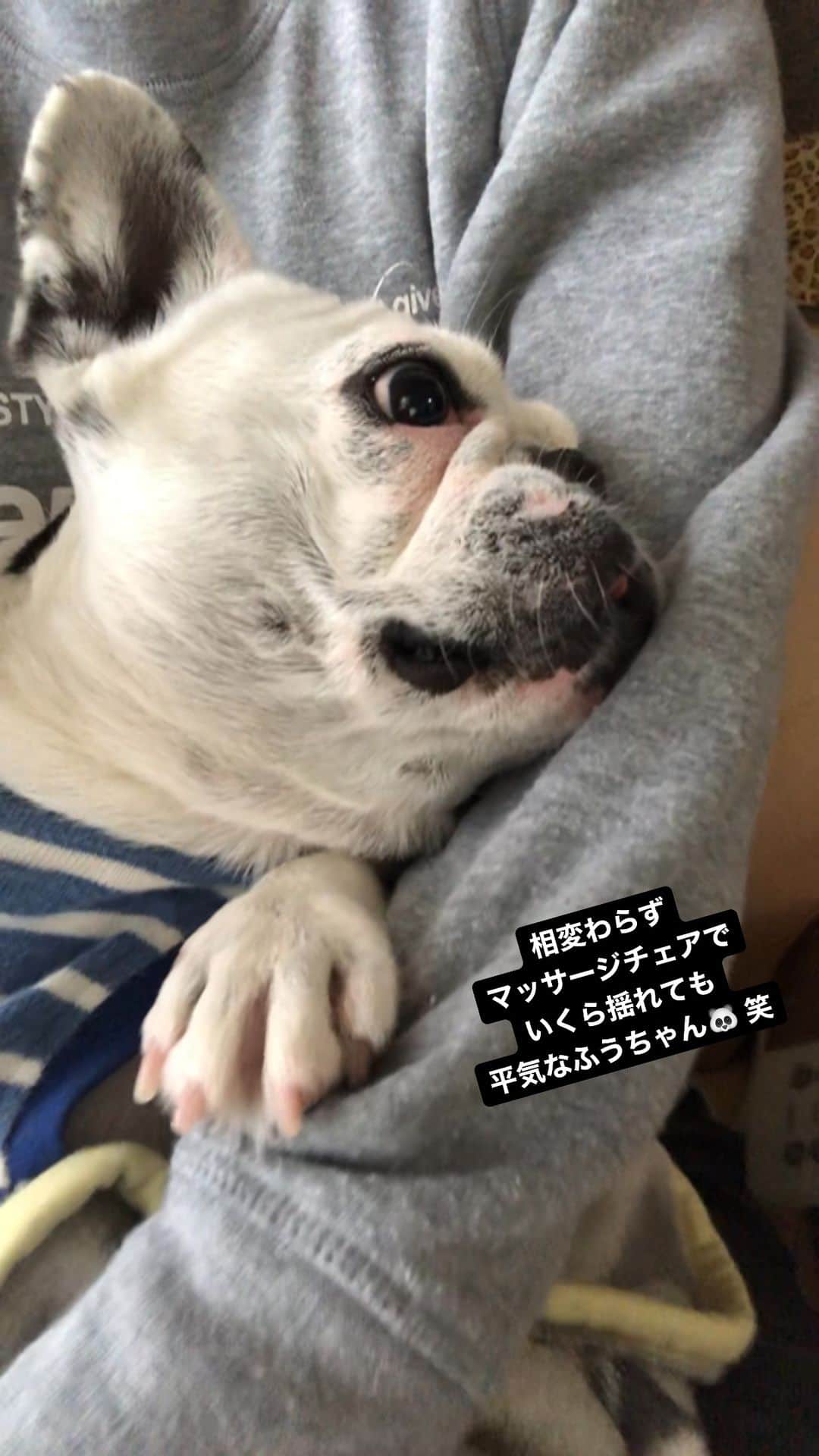 進藤やす子のインスタグラム