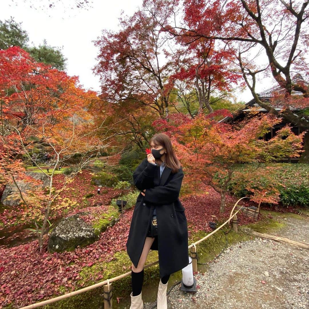 遊馬萌弥さんのインスタグラム写真 - (遊馬萌弥Instagram)「🍁 #여행 #여행스타그램」11月29日 18時49分 - meiya_yuma