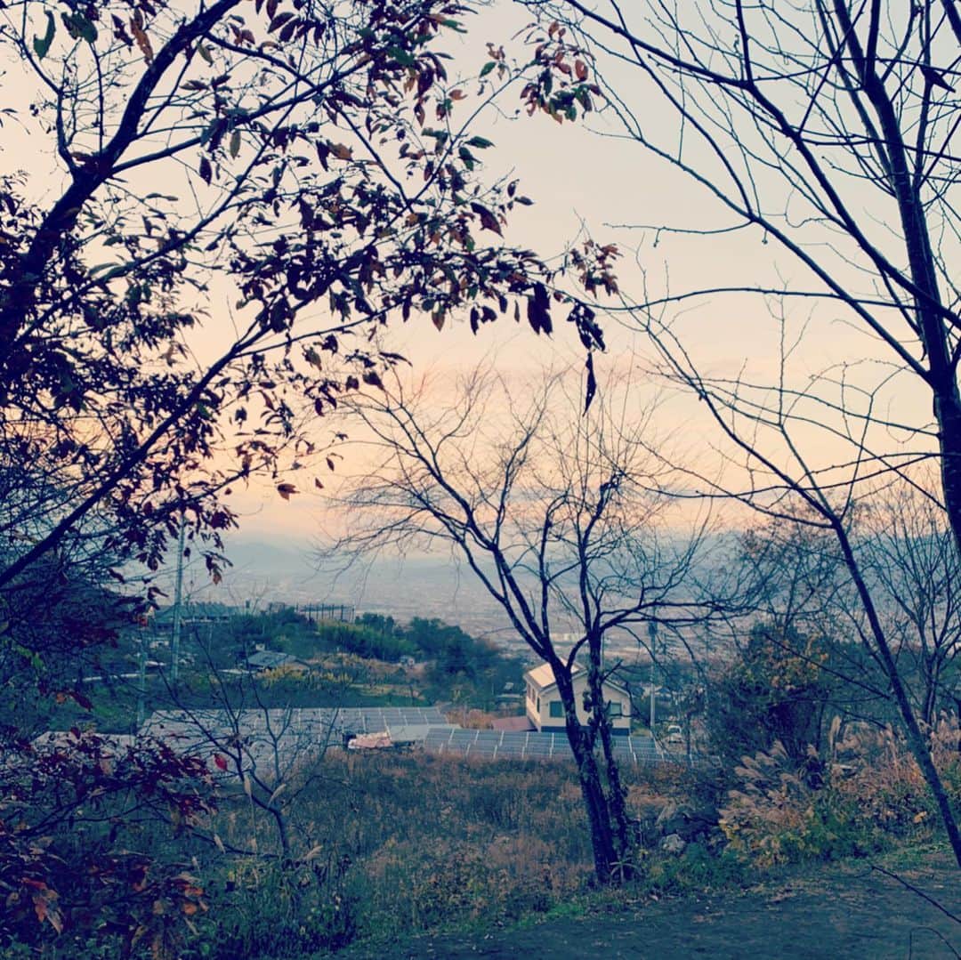 西澤裕介さんのインスタグラム写真 - (西澤裕介Instagram)「岸です。ユースケキャンプよ。寒かったやろ。岸も応援しに行ったらよかったで。言うてんねん。 #仕事ちゃうよ #ひとり #夜が怖いて #夜一瞬帰ろ思たて #岸大介 #太秦の空き時間 #何してますのん」11月29日 19時03分 - uzumasano.akijikan