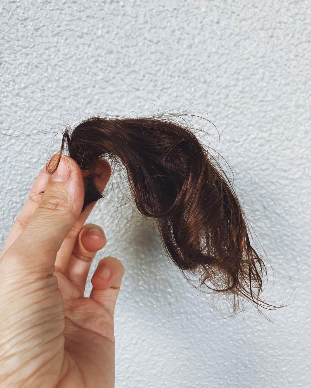 安藤沙耶香さんのインスタグラム写真 - (安藤沙耶香Instagram)「人生で初めて 子供の髪を切りました  三男に至っては 生まれた時から一度も切っていなかったので なんだか感無量です  #子育てママ #三兄弟子育て #断髪式 #感無量」11月29日 19時16分 - sayaka_nala