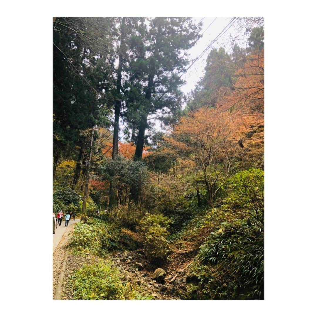 森田真以さんのインスタグラム写真 - (森田真以Instagram)「〽️ 野沢菜饅頭も食べたよ😋💗 . . . #mountain #climbing #hiking #sky #autumn #travel #nature #travelgram #outdoor #japan #curry #takaosan #friends #秋 #登山 #紅葉狩り#紅葉 #紅葉 #アウトドア #高尾山 #おすすめスポット #🍁 #カレー #グルメ #高尾山グルメ #山 #山ガール」11月29日 11時05分 - morita_mai