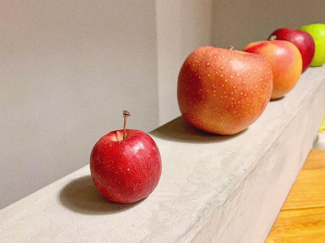 綾瀬麗奈さんのインスタグラム写真 - (綾瀬麗奈Instagram)「. りんごたち。  一皿で5種類もの林檎が楽しめる、なんとも美しい世界。  冬の始まりに、今年最後の秋を堪能できました☺️🍁 . . . #DessertUneAssiette #デセールアンアシェット #アシェットデセール #皿盛りデザート #名古屋スイーツ #池下スイーツ #千種区スイーツ」11月29日 11時18分 - ayasereina