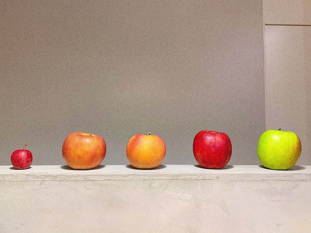 綾瀬麗奈さんのインスタグラム写真 - (綾瀬麗奈Instagram)「. りんごたち。  一皿で5種類もの林檎が楽しめる、なんとも美しい世界。  冬の始まりに、今年最後の秋を堪能できました☺️🍁 . . . #DessertUneAssiette #デセールアンアシェット #アシェットデセール #皿盛りデザート #名古屋スイーツ #池下スイーツ #千種区スイーツ」11月29日 11時18分 - ayasereina