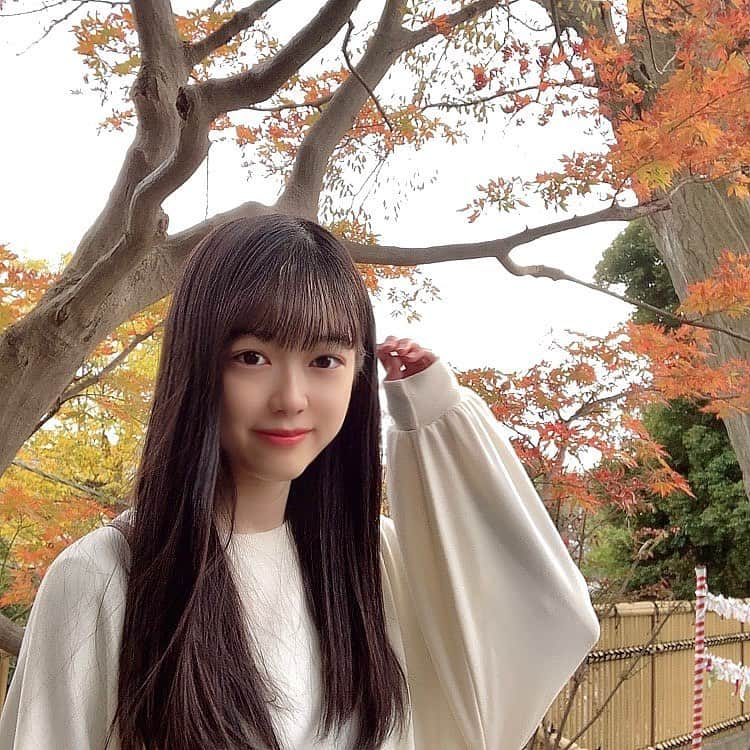 山田瑠々のインスタグラム：「秋だね🍁🍁   #紅葉 #神社 #いい事ありますように」