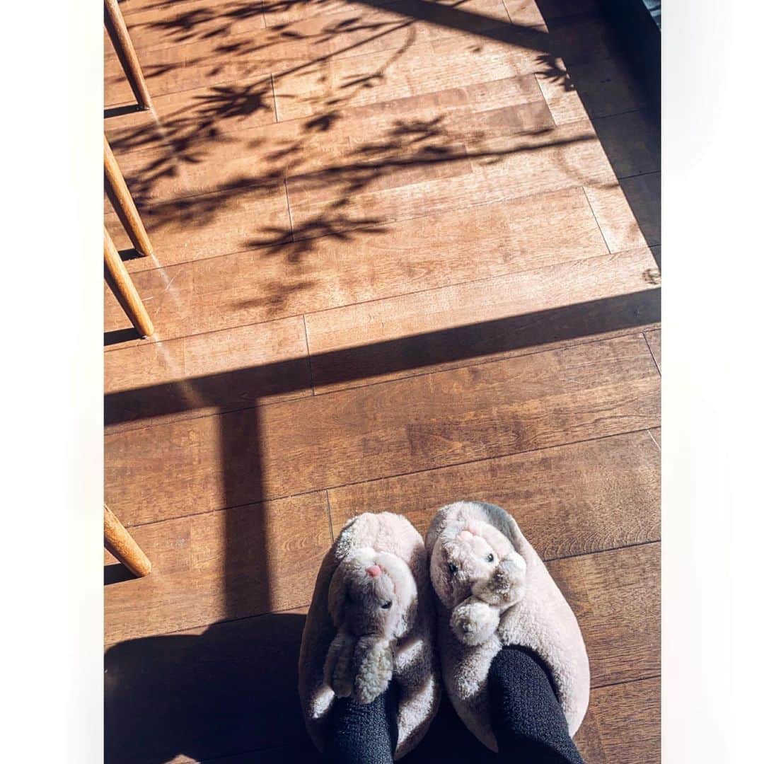 鈴木紗理奈さんのインスタグラム写真 - (鈴木紗理奈Instagram)「@flyingtigerjp  で ウサギのルームシューズ買った❤︎ 無類のかっちょいいもの好きやけど たまにこーいうの欲しくなる。 めっちゃ癒し。 一緒に日向ぼっこ╰(*´︶`*)╯♡」11月29日 12時40分 - munehirovoice