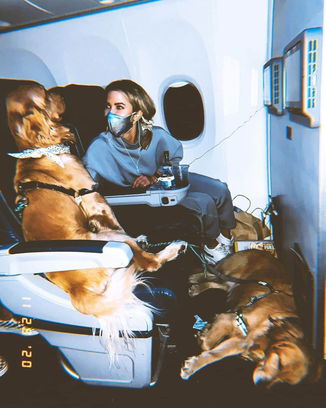 ケイトリン・ブリストーさんのインスタグラム写真 - (ケイトリン・ブリストーInstagram)「Anxiety free flight. Does anyone else suffer from plane anxiety? I used to THRIVE on planes and feel so relaxed, until I had one of my worst panic attacks on one. The mind is a powerful thing huh.? #EmotionalSupportanimal #goldenretrievers」11月29日 12時43分 - kaitlynbristowe