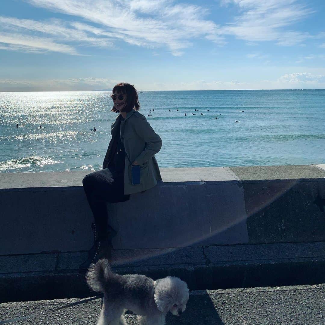 小泉里子のインスタグラム：「週末の海散歩。 トコリケも久しぶりに砂浜で大はしゃぎ♡ #トコリケ #七里ヶ浜」