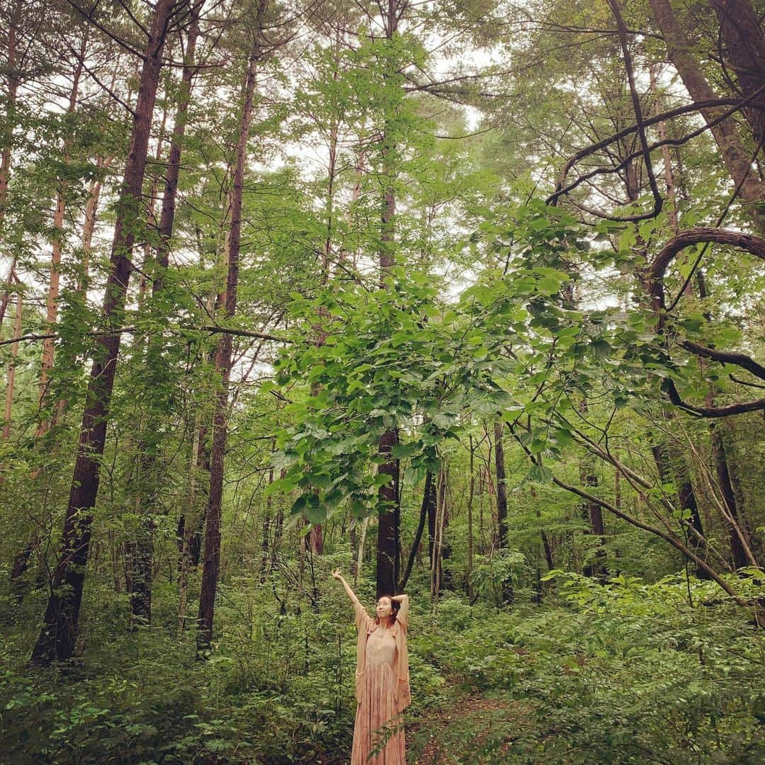 のインスタグラム：「お寺レコーディングの配信を記念して、現地　#軽井沢　の好きな風景を集めてみました🌲🤗 12/6まで配信中！！ https://eplus.jp/riefu-st/」