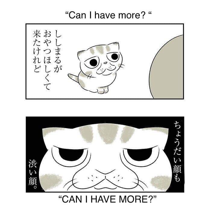 Shishi-maruさんのインスタグラム写真 - (Shishi-maruInstagram)「🐱ねこのきもちWEBMAGAZINE にて、猫エッセイが更新されました。今回は「猫づめの音」などの猫話その2です。是非お楽しみ下さい。  【渋ネコししまるさん】#75 ｜ねこのきもちWEB MAGAZINE  https://cat.benesse.ne.jp/lovecat/content/?id=69687  🐱My essay about Shishi-maru is serialized in a weekly magazine:)  ーーーーーーーーーーーーー 🌺「渋ネコ ししまるさん」ねこのきもちWEB MAGAZINE にて毎週金曜日エッセイの連載中 ーーーーーーーーーーー 📕「ぷっちねこ。」「3匹のちいさな猫を召喚できたなら」「ちいさな猫を召喚できたなら」徳間書店より単行本発売中 ーーーーーーーーーーー ⭐︎ねこ漫画→@tacos_cat 🌺Twitter →@taco_emonemon ーーーーーーーーーーー」11月29日 13時09分 - emonemon