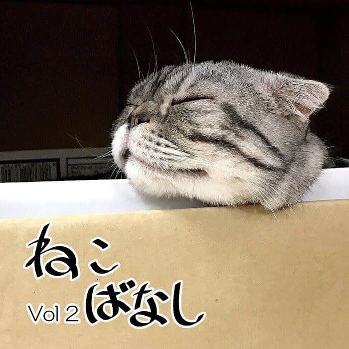Shishi-maruのインスタグラム：「🐱ねこのきもちWEBMAGAZINE にて、猫エッセイが更新されました。今回は「猫づめの音」などの猫話その2です。是非お楽しみ下さい。  【渋ネコししまるさん】#75 ｜ねこのきもちWEB MAGAZINE  https://cat.benesse.ne.jp/lovecat/content/?id=69687  🐱My essay about Shishi-maru is serialized in a weekly magazine:)  ーーーーーーーーーーーーー 🌺「渋ネコ ししまるさん」ねこのきもちWEB MAGAZINE にて毎週金曜日エッセイの連載中 ーーーーーーーーーーー 📕「ぷっちねこ。」「3匹のちいさな猫を召喚できたなら」「ちいさな猫を召喚できたなら」徳間書店より単行本発売中 ーーーーーーーーーーー ⭐︎ねこ漫画→@tacos_cat 🌺Twitter →@taco_emonemon ーーーーーーーーーーー」