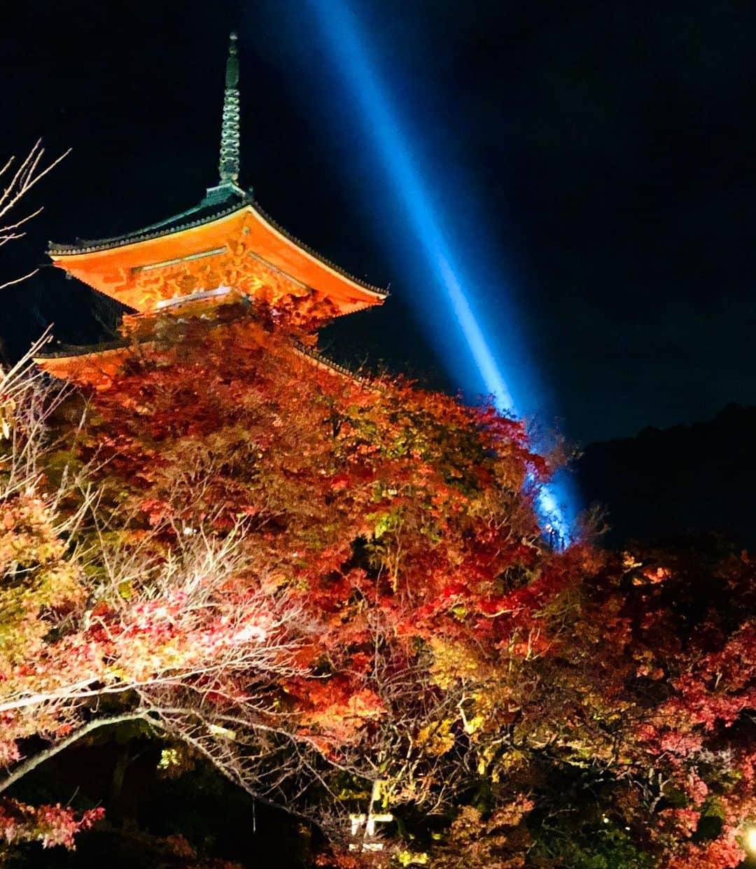 進藤やす子さんのインスタグラム写真 - (進藤やす子Instagram)「✳︎ 20日の夜は、上賀茂神社でのモノオペラ鑑賞後に清水寺の夜間特別拝観へ。ライトアップされた紅葉が綺麗で綺麗で✨ . ちなみに...青いレーザー光線につい  ♫見つめ合う視線のレーザービームで〜♫ と口ずさんでいたんですが（昭和生まれの性）、調べたらこの青い光は観音様の慈悲を表したものらしく。←なんかシュールと思った私にあやかる資格なし😅 . . タイミングよく観られたライトアップ、 期間は18日〜30日（明日まで！）とのこと🍁 . これにて京都の振り返り記はいったん終了しますが、伺った美味しいお店はまたおいおい投稿していきます🤗 . . #清水寺 #特別夜間拝観 #夜間拝観 #夜間拝観ライトアップ #ライトアップ #やす子の京都旅2020」11月29日 13時23分 - yasukoshindo