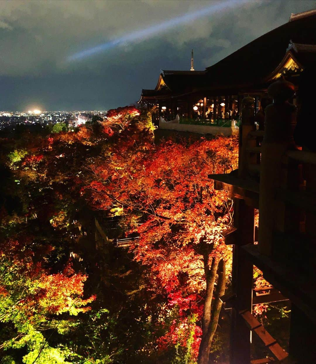 進藤やす子さんのインスタグラム写真 - (進藤やす子Instagram)「✳︎ 20日の夜は、上賀茂神社でのモノオペラ鑑賞後に清水寺の夜間特別拝観へ。ライトアップされた紅葉が綺麗で綺麗で✨ . ちなみに...青いレーザー光線につい  ♫見つめ合う視線のレーザービームで〜♫ と口ずさんでいたんですが（昭和生まれの性）、調べたらこの青い光は観音様の慈悲を表したものらしく。←なんかシュールと思った私にあやかる資格なし😅 . . タイミングよく観られたライトアップ、 期間は18日〜30日（明日まで！）とのこと🍁 . これにて京都の振り返り記はいったん終了しますが、伺った美味しいお店はまたおいおい投稿していきます🤗 . . #清水寺 #特別夜間拝観 #夜間拝観 #夜間拝観ライトアップ #ライトアップ #やす子の京都旅2020」11月29日 13時23分 - yasukoshindo