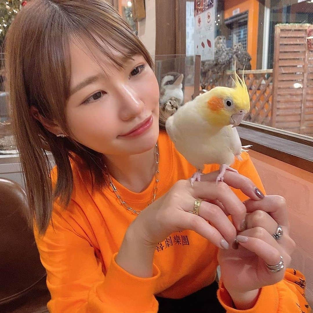 夏希リラのグルメインスタ