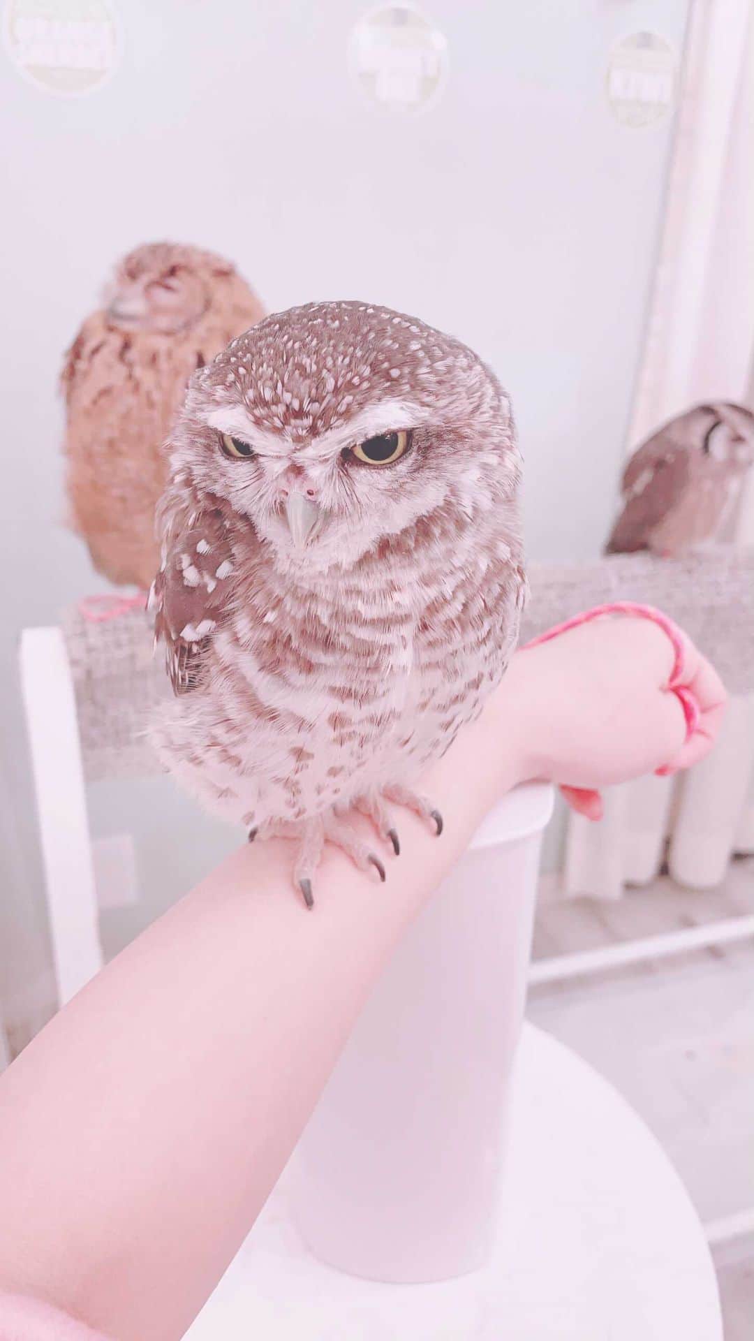 のインスタグラム