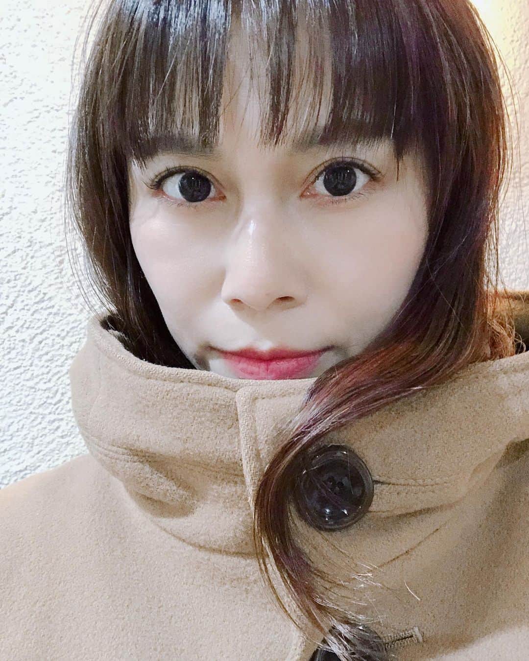 佐古真弓さんのインスタグラム写真 - (佐古真弓Instagram)「ぱっつんした。  #前髪カット #新しい髪型 #カラーリング #赤系カラー #インナーカラー   若作り？まぁ良いじゃないか。許してくれたまえ。」11月29日 14時07分 - _sacomayumi_
