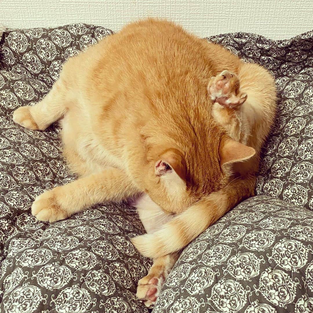 なごむのインスタグラム