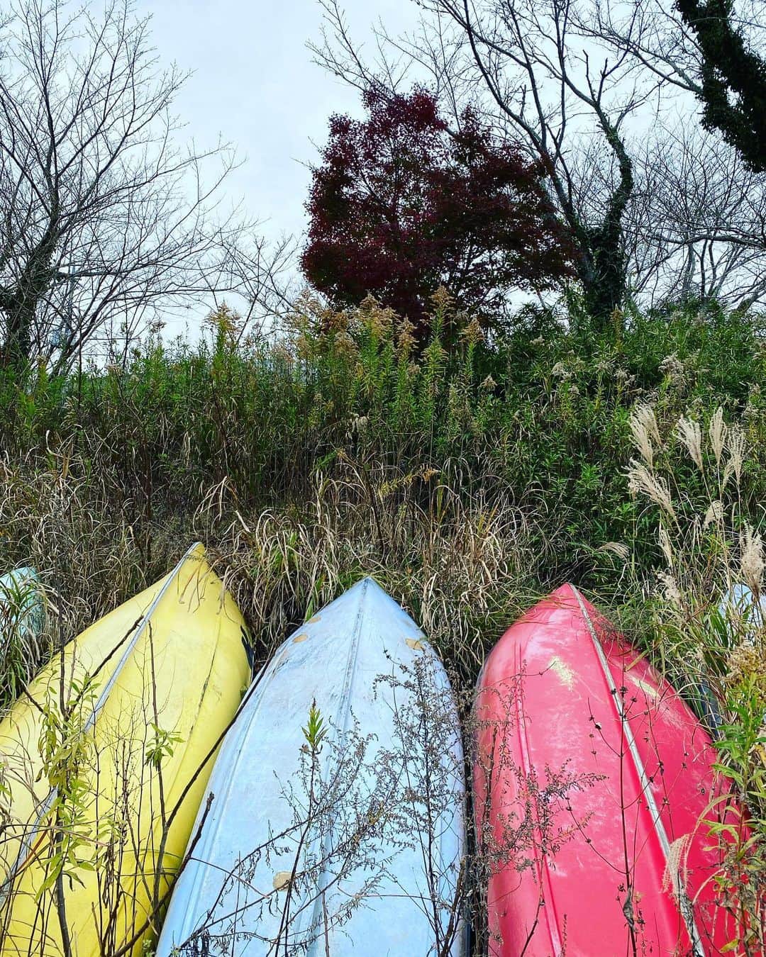 遠山正道さんのインスタグラム写真 - (遠山正道Instagram)「来年の市原アートミックスに参加する遠山正道となかまたちで湖畔美術館にリサーチに。湖上に浮かぶボートに着目するわれわれ。」11月29日 14時32分 - masatoyama