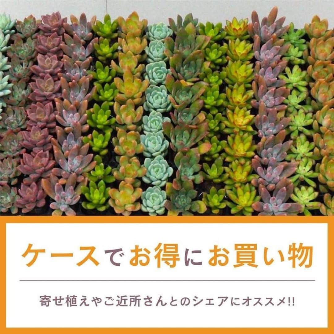 みどりで、つながる GreenSnapのインスタグラム