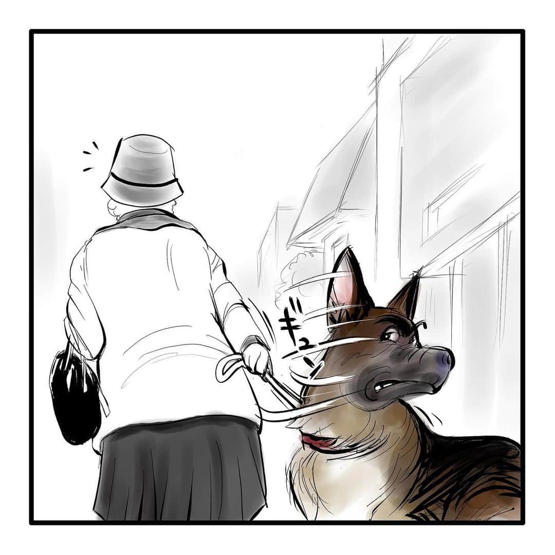 てらりんさんのインスタグラム写真 - (てらりんInstagram)「『ゴボウ』⑤  #漫画 #マンガ #まんが #インスタ漫画 #創作 #コミック #イラスト #犬 #シェパード #ゴボウ #manga #comic #illustration #art #drawing #dog #germanshepherd #alsatian #gobo」11月29日 14時35分 - terarin08