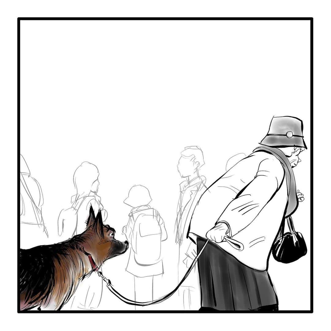 のインスタグラム：「『ゴボウ』⑤  #漫画 #マンガ #まんが #インスタ漫画 #創作 #コミック #イラスト #犬 #シェパード #ゴボウ #manga #comic #illustration #art #drawing #dog #germanshepherd #alsatian #gobo」