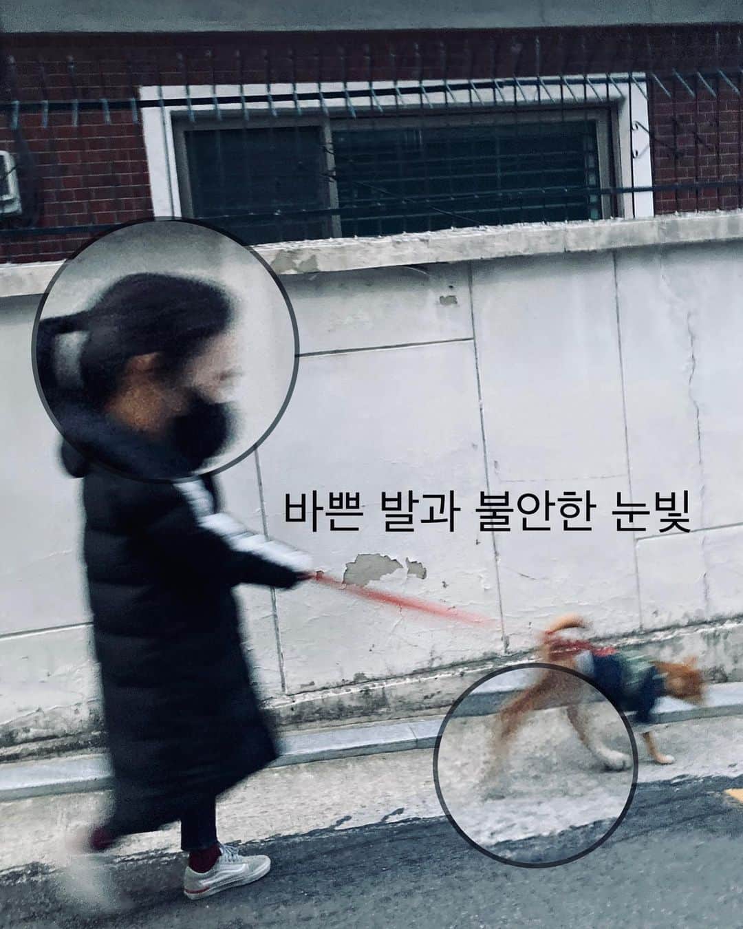 ソン・スヒョンさんのインスタグラム写真 - (ソン・スヒョンInstagram)「리코와 나」11月29日 14時53分 - sohnsuhyun