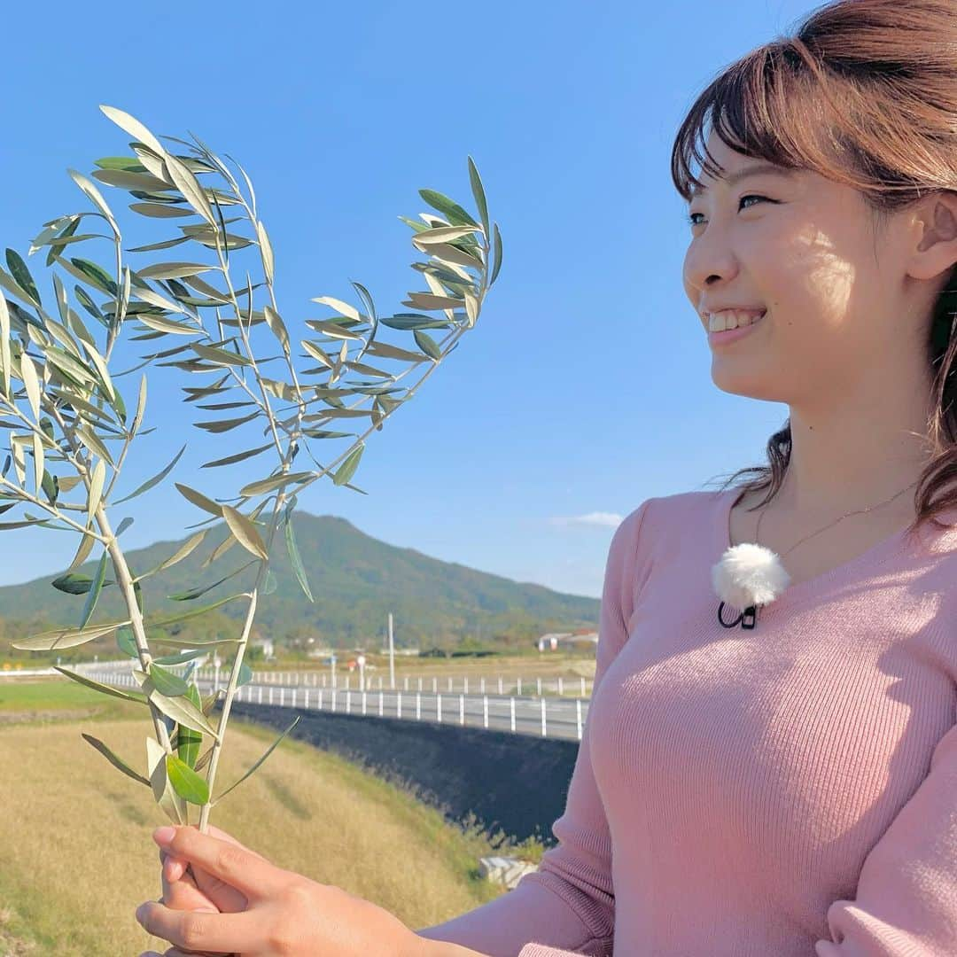 岡野綾夏のインスタグラム