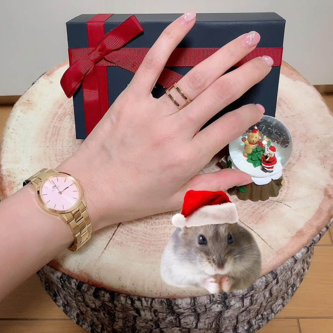 hamster_mocoのインスタグラム