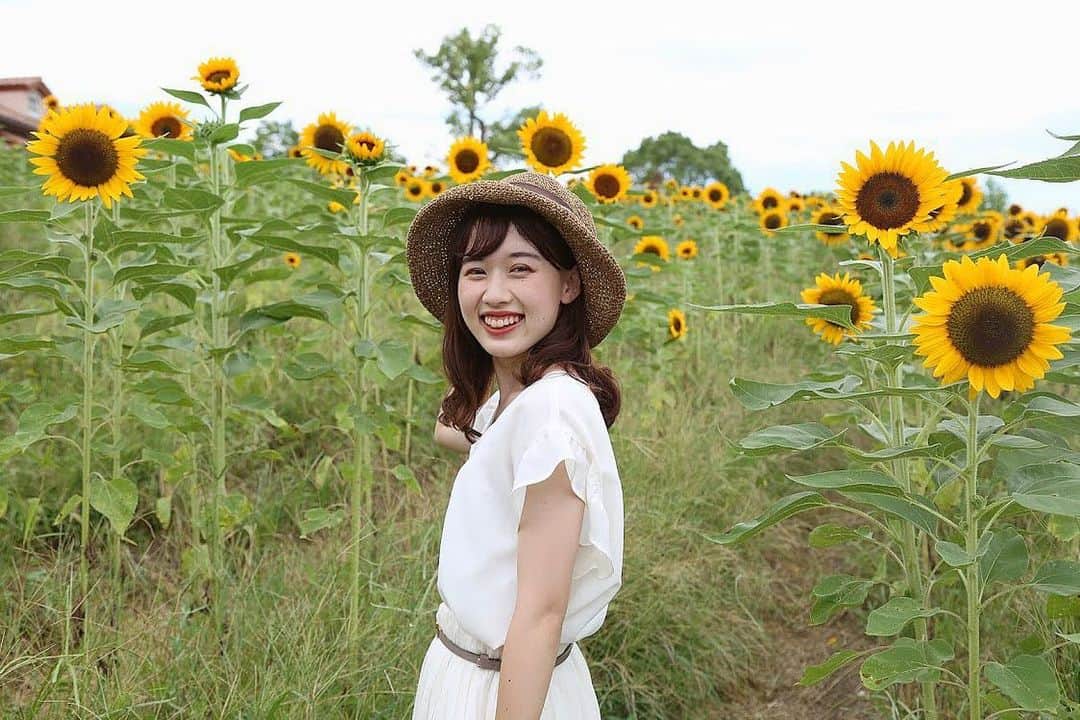 野村梨々華のインスタグラム：「﻿ ﻿ ﻿ ﻿ 投票も残すところあと 8回！﻿ ﻿ ミス関大グランプリになって﻿ ミスオブミスに出場して日本一になりたい💍﻿ ﻿ 私の夢は大きい分、﻿ みなさんの応援が必要です😭✨﻿ ﻿ どうか最後まで応援よろしくお願いします！✨﻿ ﻿ ﻿ ﻿ ﻿  #関西サロンモデル #関西サロン #関西サロモ #撮影モデル #サロン撮影 #サロンモデル #サロモ #秋コーデ  #ブラウンカラー #オレンジメイク #秋服 #彼女感 #ミスキャンパス #ミスキャン #ミスコン #ミスコンファイナリスト #ヘアアレンジ #ヘアカラー #ヘアスタイル #ピンクベージュ #ピンクブラウン  #低身長コーデ #低身長女子 #低身長ファッション #シンプルコーデ  #アレンジヘア #バイオレットカラー ﻿#ハーベストの丘 #ひまわり #ひまわり畑  ﻿ ﻿」
