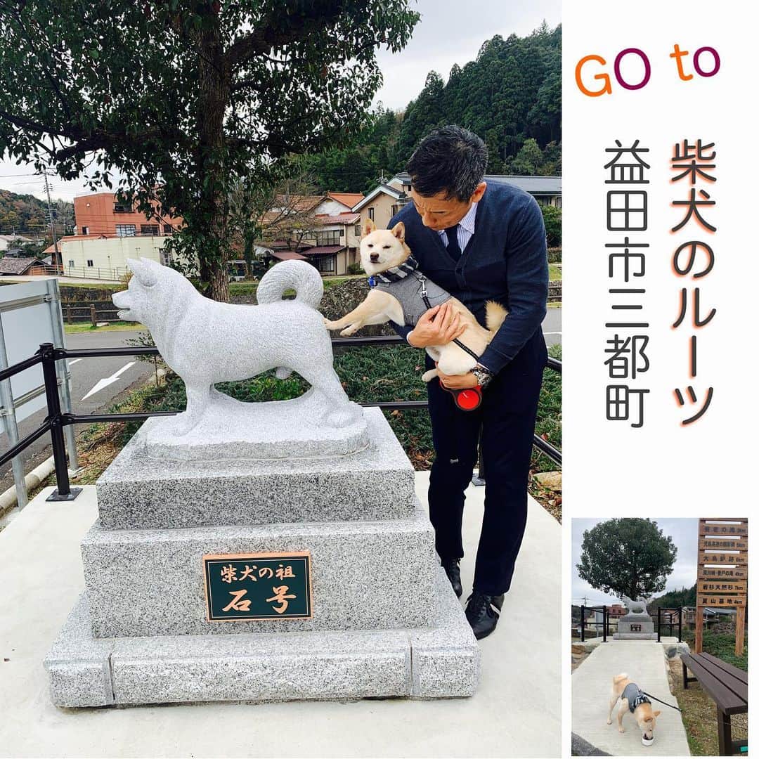 のインスタグラム：「柴犬のルーツは美都町二川の「石号」。  昭和初期、猟師の「下山信一さん」に猟犬として飼われていた 石州犬が日本犬保存会に純粋な小型日本犬として登録されたことから 現在の柴犬の祖犬として、柴犬の聖地に石像が設置されたそうです。  湖太郎を連れて1度訪れてみたいとおもっていたので 主人のお仕事について行ってきましたよ♪  益田市美都町は、 島根県の西の方で広島県や山口県が近い場所。  石号に経緯を払って子孫である湖太郎がタッチ。  #犬のいる暮らし #犬のいる生活 #日本犬 #犬好き #犬なしでは生きていけません会 #犬部 #犬と暮らす #犬との生活 #犬の散歩 #犬すたぐらむ  #犬写真 #犬と休日 #犬と旅行 #犬旅 #犬と一緒 #柴犬の聖地 #柴犬のルーツ #柴犬のルーツ石号 #島根旅行 #益田市 #豆柴水太郎 #豆柴」
