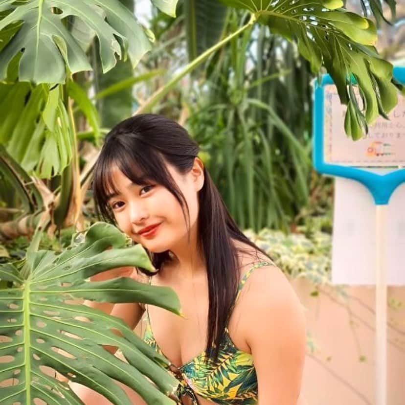 西本ヒカルのインスタグラム：「🌿」