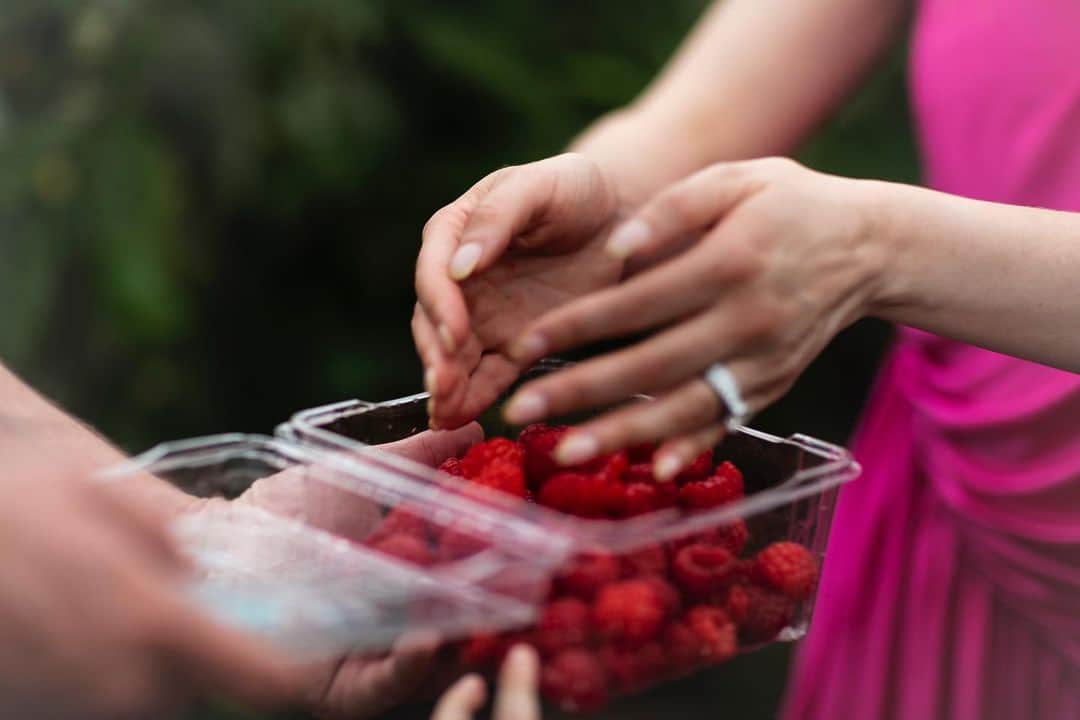 RJMStyleさんのインスタグラム写真 - (RJMStyleInstagram)「The hi-light of our trip to #Tasmania was visiting our friends #berryfarm 🍓we collected rasberries and strawberries at sunset. We collected enough that every morning we had berry smoothies for breakfast it was delicious. The taste of berries freshly picked was soooo yummy I can’t wait to go back. #berriedintas @berriedintas」11月29日 16時58分 - rjmstyle
