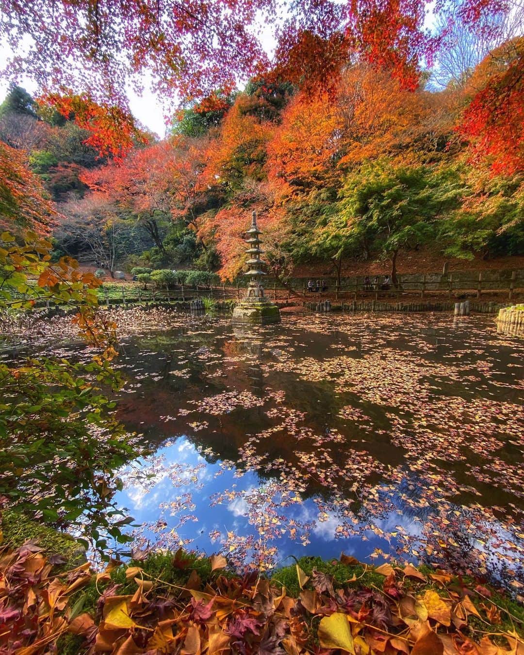hama_aki_pppのインスタグラム