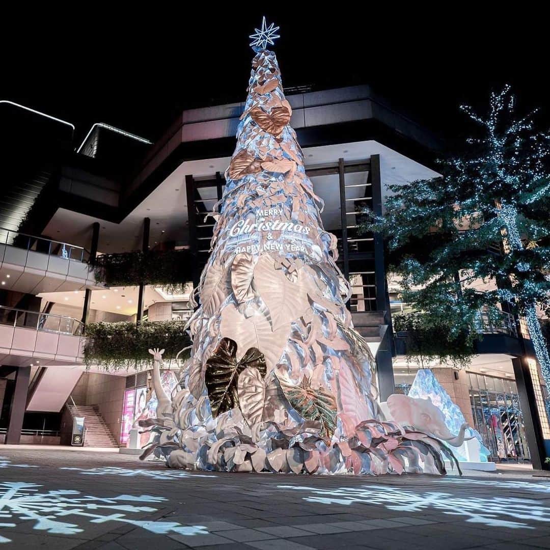 Vogue Taiwan Officialさんのインスタグラム写真 - (Vogue Taiwan OfficialInstagram)「#VogueTravel 位於信義區的新光三越，今年同樣選在香堤廣場打造17公尺的聖誕樹，以「永續共生」為概念，使用50,000個玻璃瓶與寶特瓶再製而成，樹上更妝點超過3,000片使用玻璃混合椰子纖維片而成的葉子，一旁還有4公尺高的大象、長頸鹿等動物造景，更有320公尺長的璀璨銀河光廊可以漫步。  🔗更多絕美聖誕樹介紹請點 @voguetaiwan 首頁連結  #新光三越 #聖誕樹 #信義區 #merrychristmas #christmastree  🖋#wendych」11月29日 17時04分 - voguetaiwan
