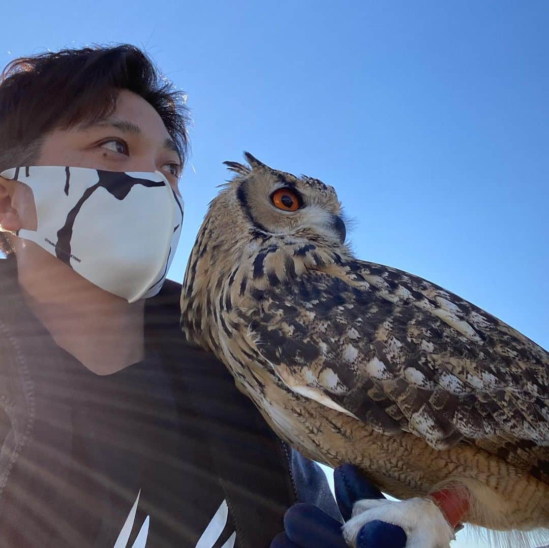 GEN3 Owlさんのインスタグラム写真 - (GEN3 OwlInstagram)「アウトドアイベント終了！たくさんの人に声をかけてもらって嬉しかったです。ありがとうございました！ The outdoor event is over!  I was happy to talk with many people. Thank you very much! #owl #owlgaru #fieldstyle #フィールドスタイル #アウトドア #フクロウ」11月29日 17時30分 - genz64